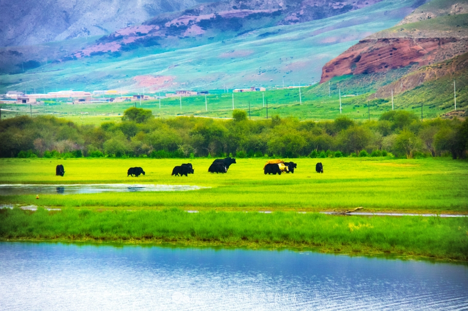 拉卜楞寺西藏,甘南拉卜楞寺离拉萨远吗