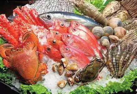 每日资讯热点速报,每日新闻速报最新消息