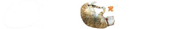 太热了夏天猫咪如何补水消暑,夏天猫咪不热吗