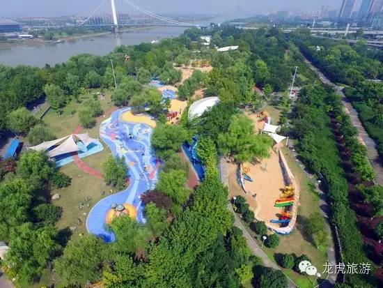 世界最美的郁金香花海,南京郁金香花海