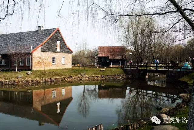 世界最美的郁金香花海,南京郁金香花海