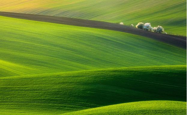 护眼营养元素,护眼必吃6类营养食物