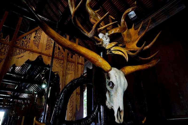 泰国清迈天灯节万盏天灯入夜空,清迈古城天灯