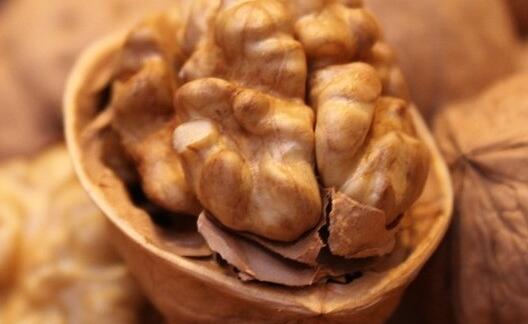 核桃仁能够冷冻保存多久,核桃仁保存是冷藏还是冷冻好