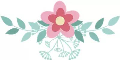 喜鹊大规模飞向一个方向,近期喜鹊展翅飞