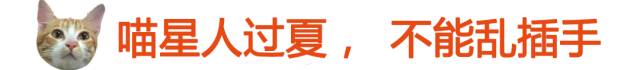 太热了夏天猫咪如何补水消暑,夏天猫咪不热吗