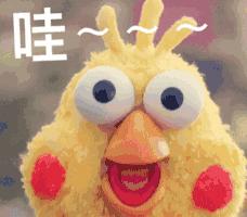 《我的前半生》不留惋惜！金普周边海滨浴场最全攻略，实现完美人生，走起~