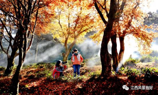 走遍江西一百县,走遍江西