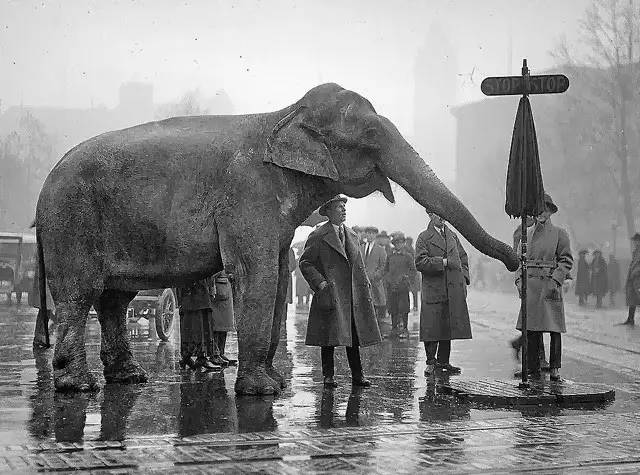 布列松摄影作品赏析,布列松经典摄影作品中国