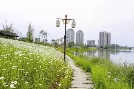 生活在成都的真实感受,邛崃生活怎么样