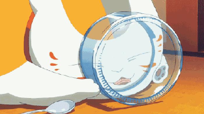 赣州特产一览表,赣州各地特产