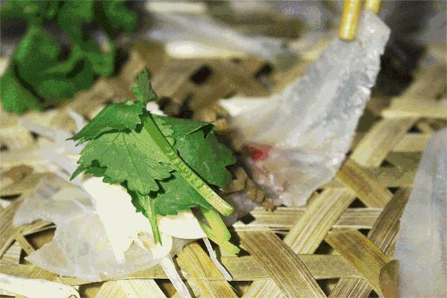 南宁周末清凉解暑好去处,南宁热天去哪玩比较凉快