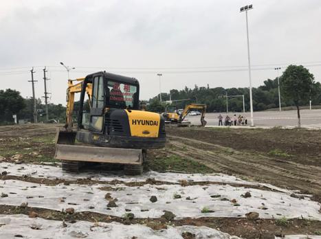 双流赏花一日游最佳景点,双流周边游玩看花海