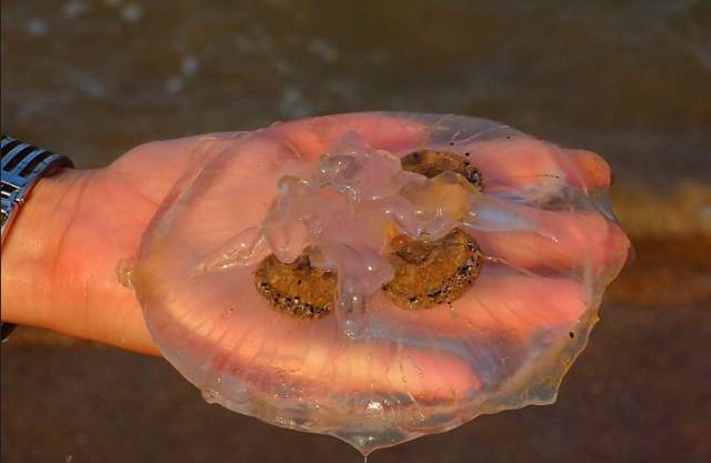 《我的前半生》不留惋惜！金普周边海滨浴场最全攻略，实现完美人生，走起~