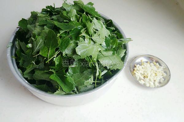 野菜灰灰菜的做法大全,东北野菜灰菜