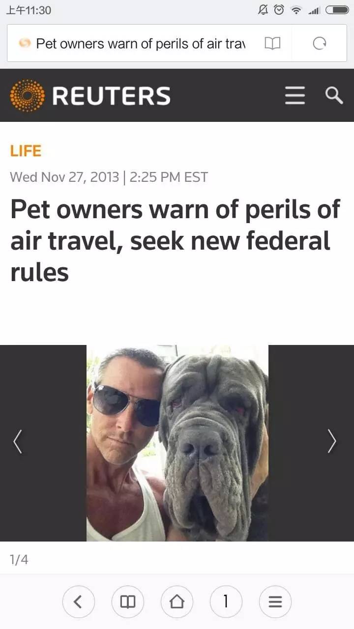 “愿天堂没有美联航”：有望破纪录的巨兔乘机时神秘死亡