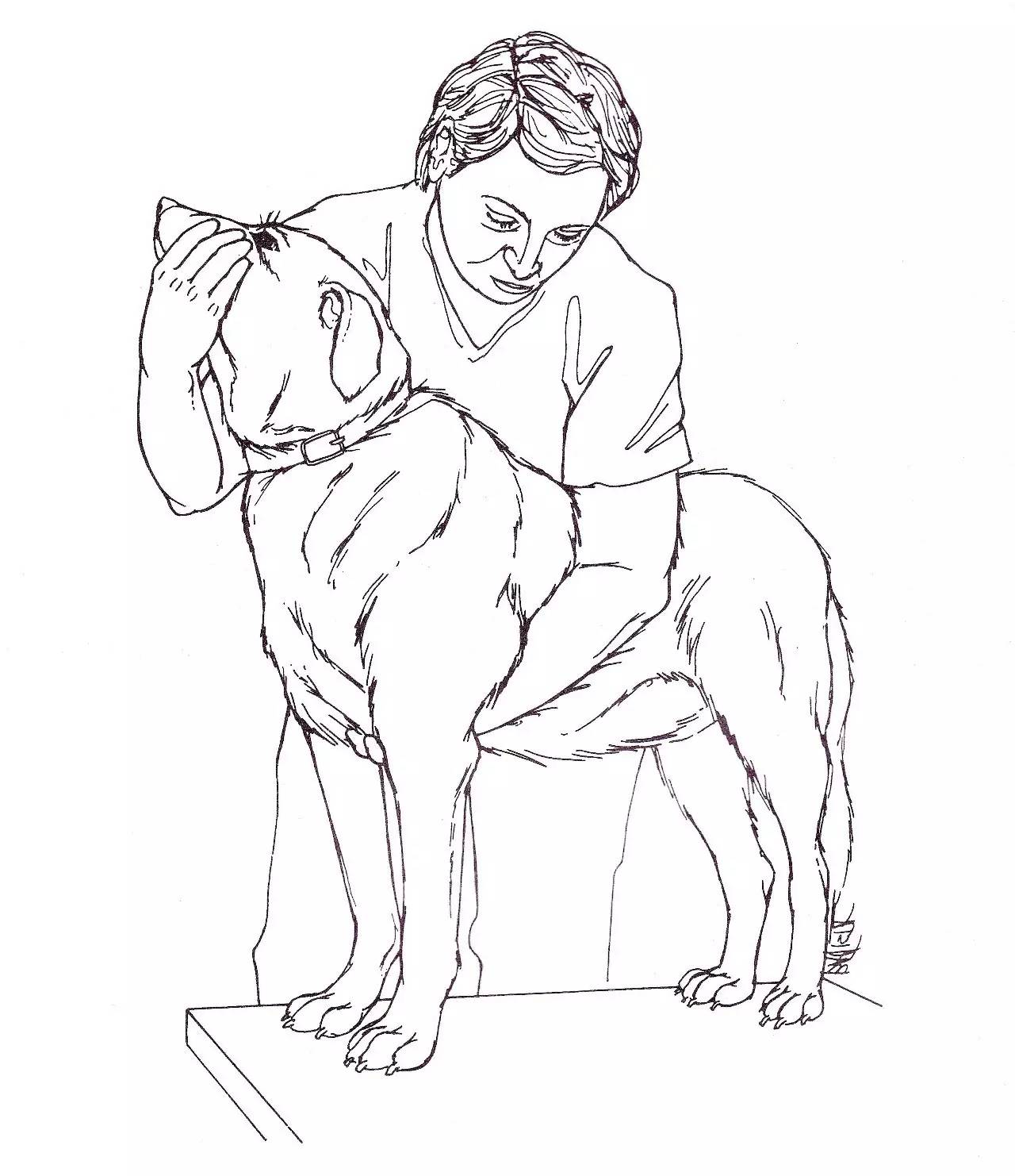 唐山狗狗免疫证明,怎么才能拿到狗狗免疫证明