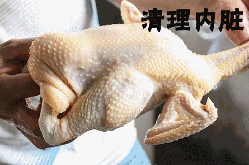 我敢保证，这是全汕头最好的“鸡店”！不按摩不看片，只叫①号鸡！