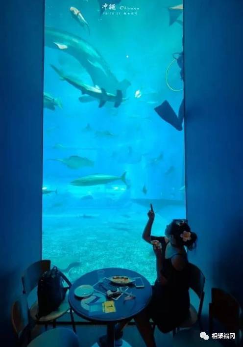 日本冲绳奥特莱斯攻略,日本冲绳旅游多少钱