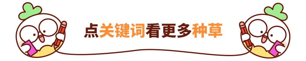学生党必买的10个牌子,最值得入手的学生党牌子