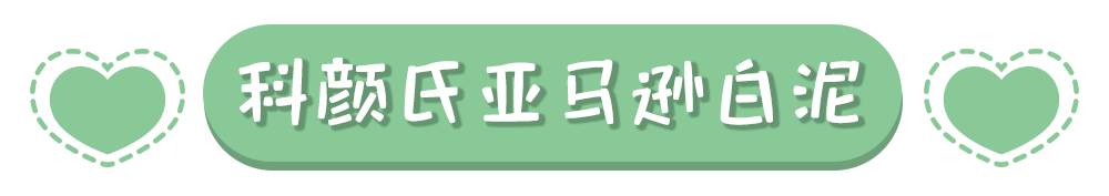 平价精华和面膜哪个好用,平价好用的清洁面膜求推荐