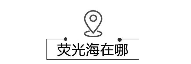 中国荧光海最佳观赏时间和地点,厦门蓝色荧光海是真实的吗