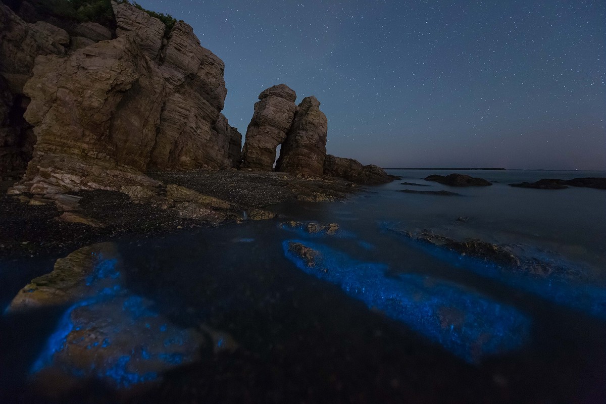 中国荧光海最佳观赏时间和地点,厦门蓝色荧光海是真实的吗