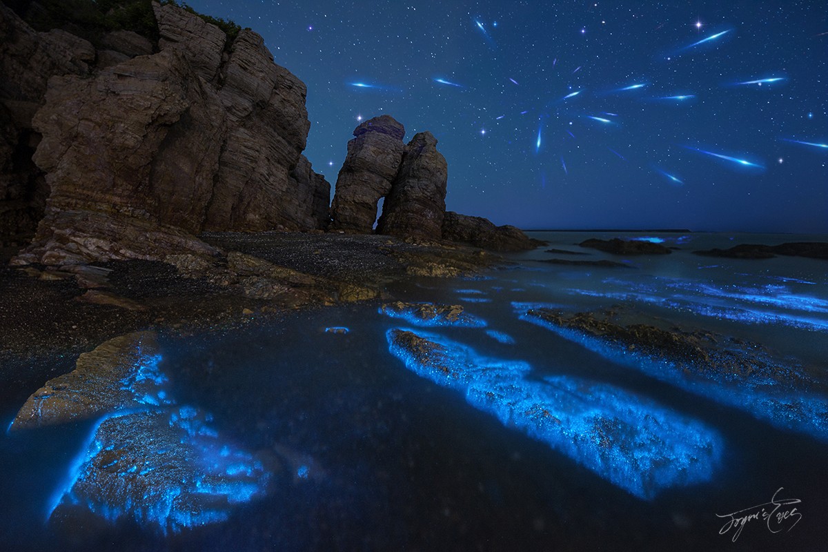 中国荧光海最佳观赏时间和地点,厦门蓝色荧光海是真实的吗