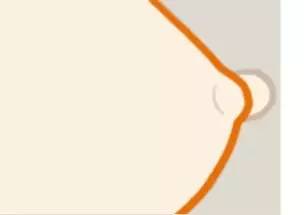 全球母乳喂养时间表,国际母乳学会关于母乳喂养的建议