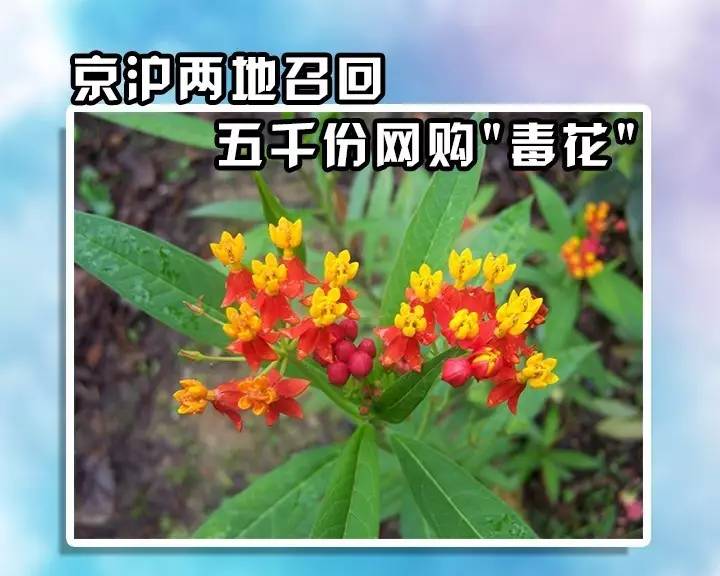 积水潭医院一医生揽活院外做手术患者利益受损向谁主张？