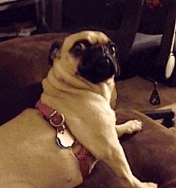 别再找我代购了，我们真的不熟！