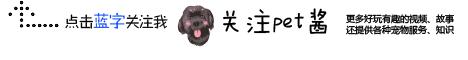 小女孩用泥土玩“埋狗”游戏，狗狗一脸生无可恋的任埋