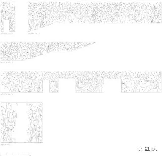 一说到垂直绿化，脑袋里就蹦出他，他，他（附失败案例经验总结）