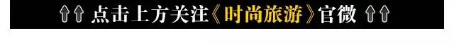 动物们开始工作,动物们开始冒险