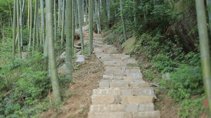 70万亩竹海里，他花了一年时间修了条『天路』，只为了这件小事……