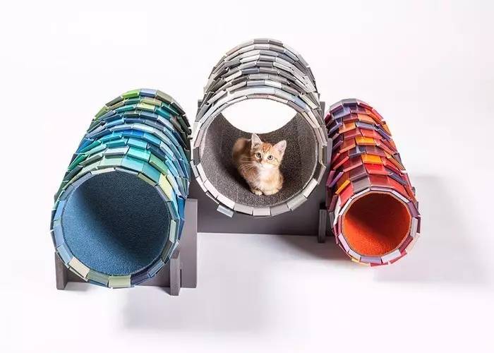 盘点那些实用的宠物生活用品,猫狗最实用的宠物用品