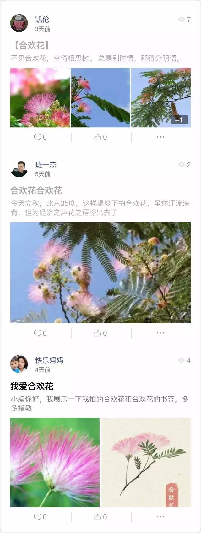 花之声舞蹈完全版,睡莲开花一天开的全部过程