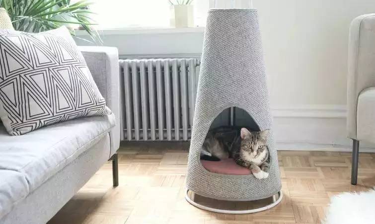 盘点那些实用的宠物生活用品,猫狗最实用的宠物用品
