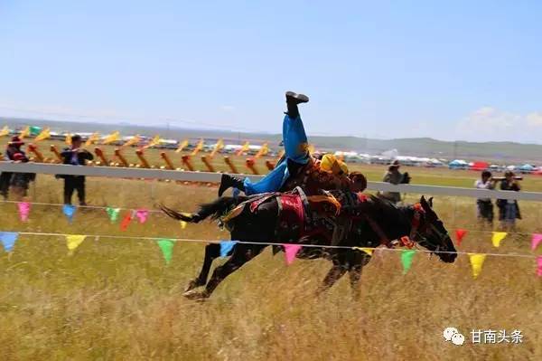 纵马扬鞭御风飞行丨九色甘南香巴拉·玛曲第十一届格萨尔赛马节隆重开幕