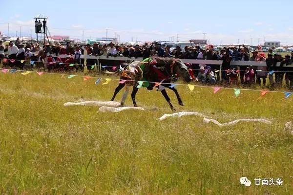 纵马扬鞭御风飞行丨九色甘南香巴拉·玛曲第十一届格萨尔赛马节隆重开幕