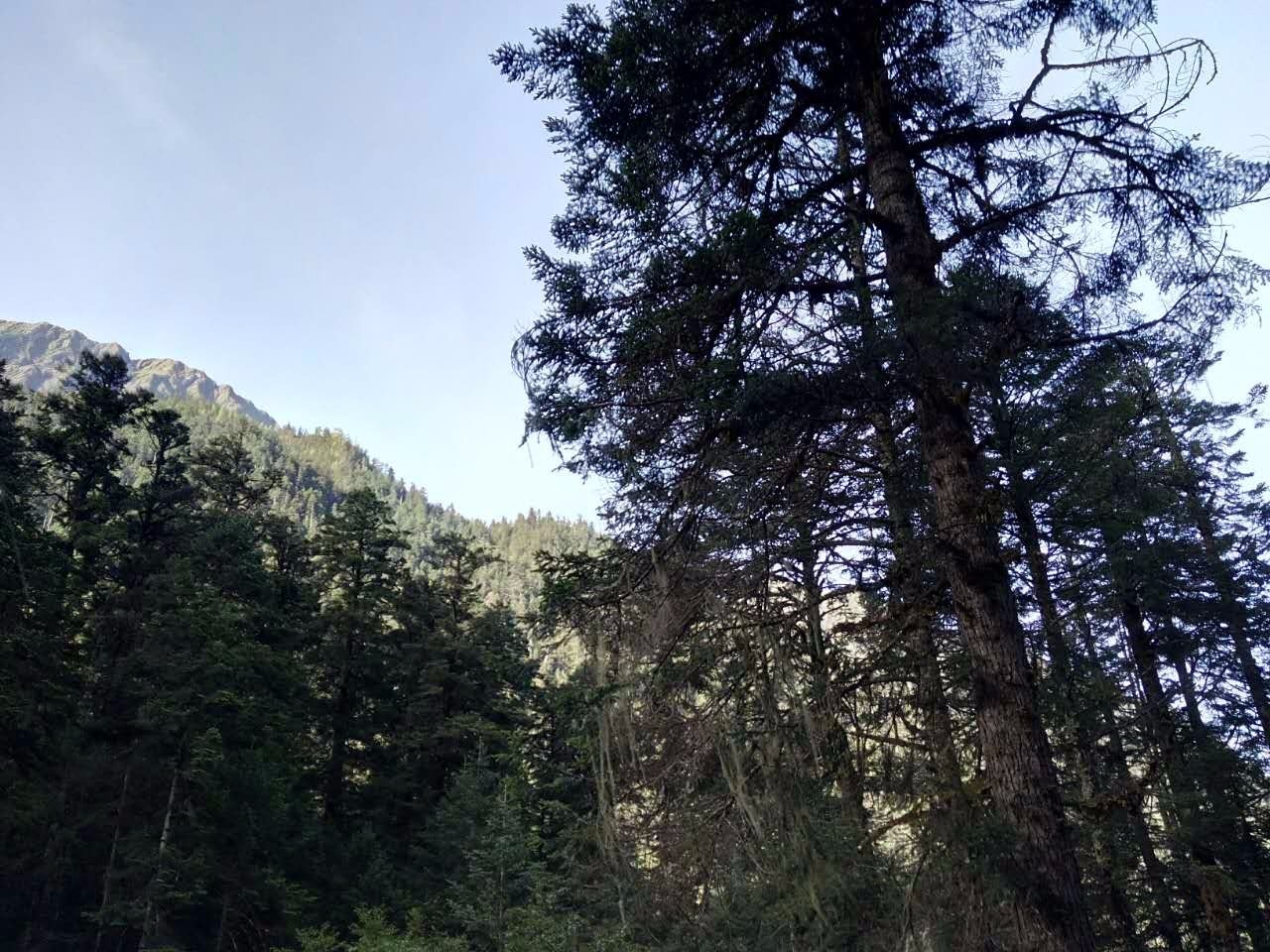 户外小白成长记,户外小白进阶课