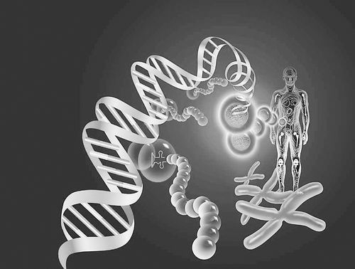 基因测序突破,基因测序有哪些方法