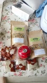 户外小白成长记,户外小白进阶课