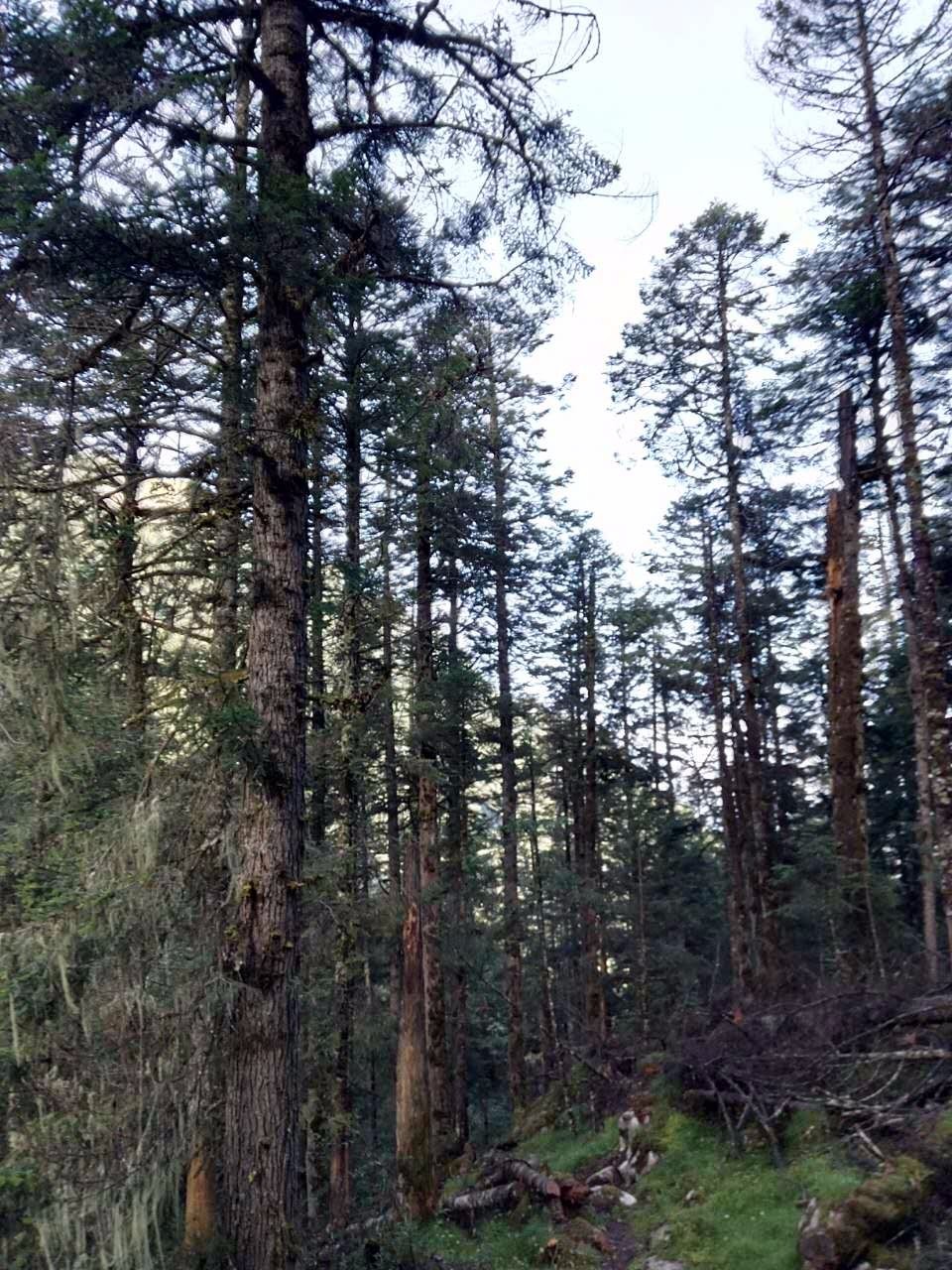 户外小白成长记,户外小白进阶课