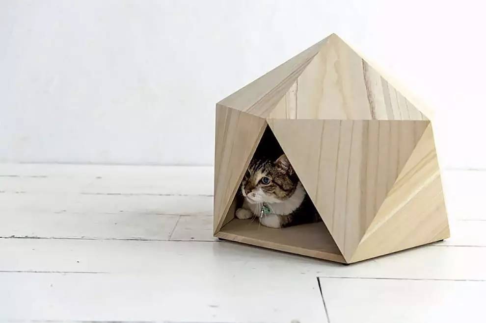 盘点那些实用的宠物生活用品,猫狗最实用的宠物用品