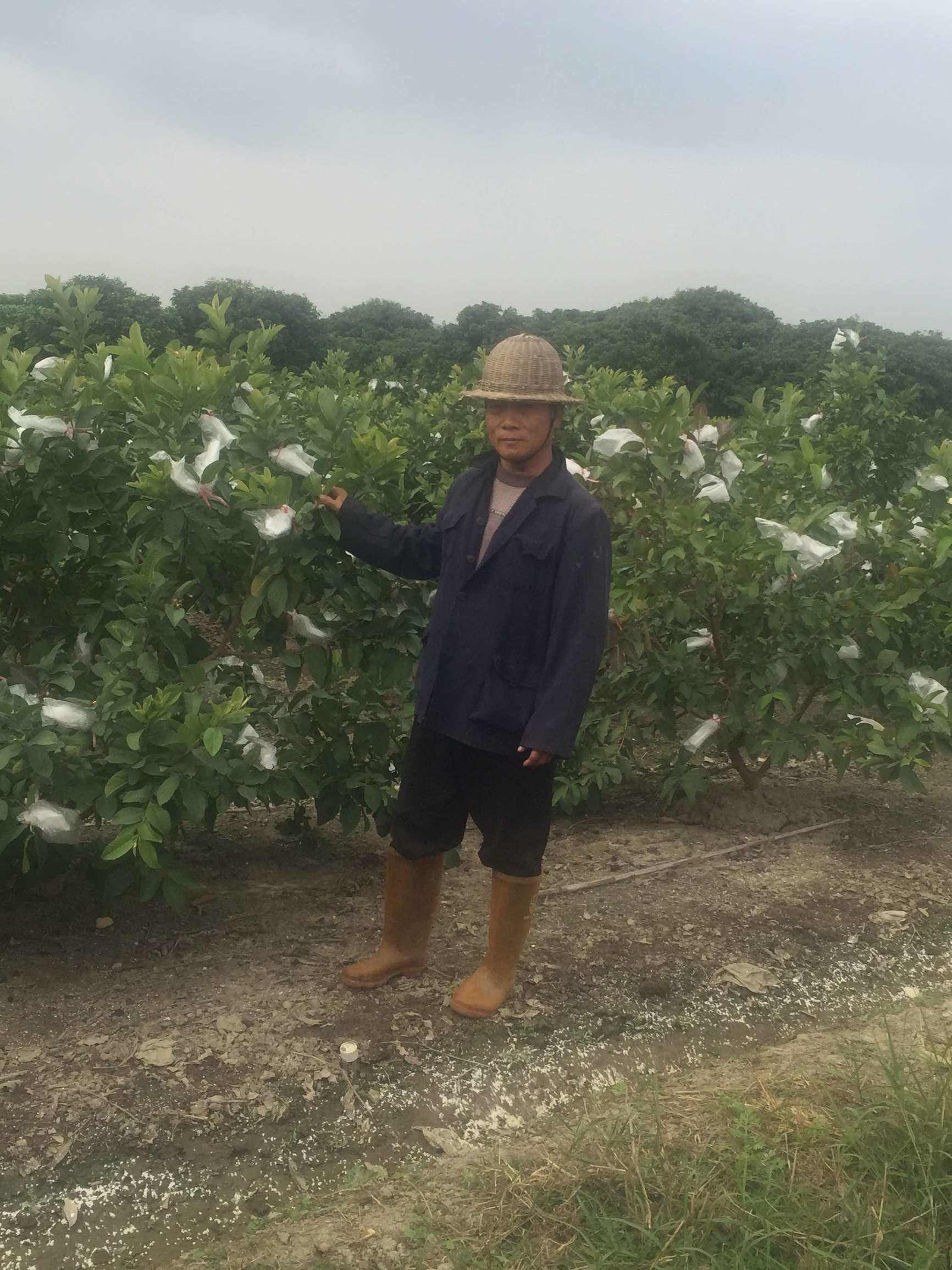 阿里战略调整农村电商,阿里巴巴如何布局农村电商