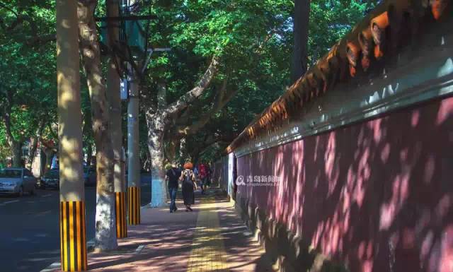 青岛的魅力有多大,青岛很有文化底蕴