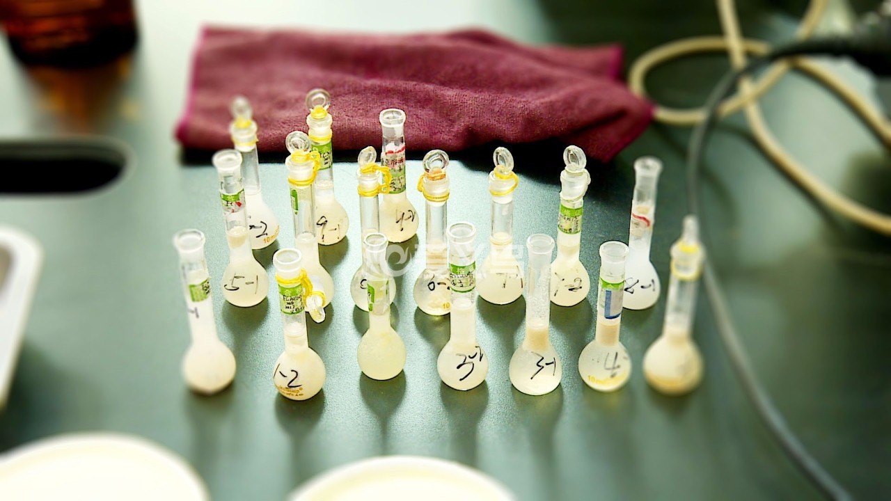 一杯奶茶等于30个鸡蛋,一杯奶茶等于一斤猪肉