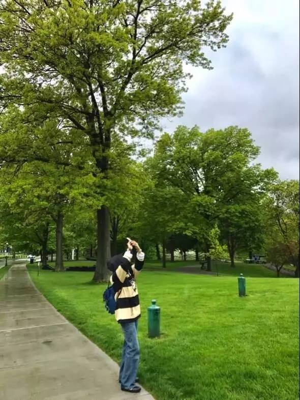 跟宜信财富去美国学习后，她写下万字随感