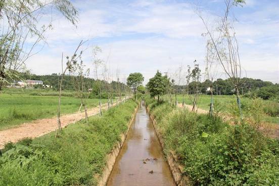 「文明创建」宁乡有一个颜值与内涵并重的社区，你去过吗？